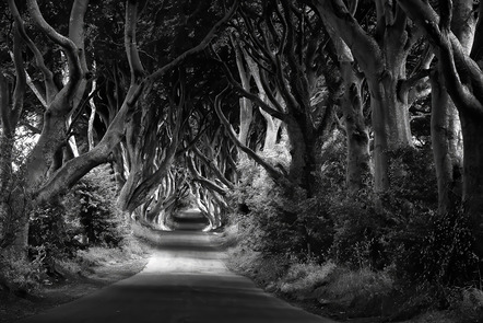 Mohr Hermann - Fotoclub Obersulm e.V. - Dark Hedges - Urkunde