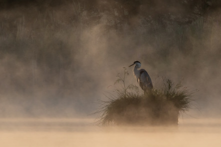 Schwenger Günter - Fotofreunde Hechingen - Früh am Morgen - Annahme